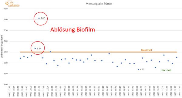 Abloesung_Biofilm